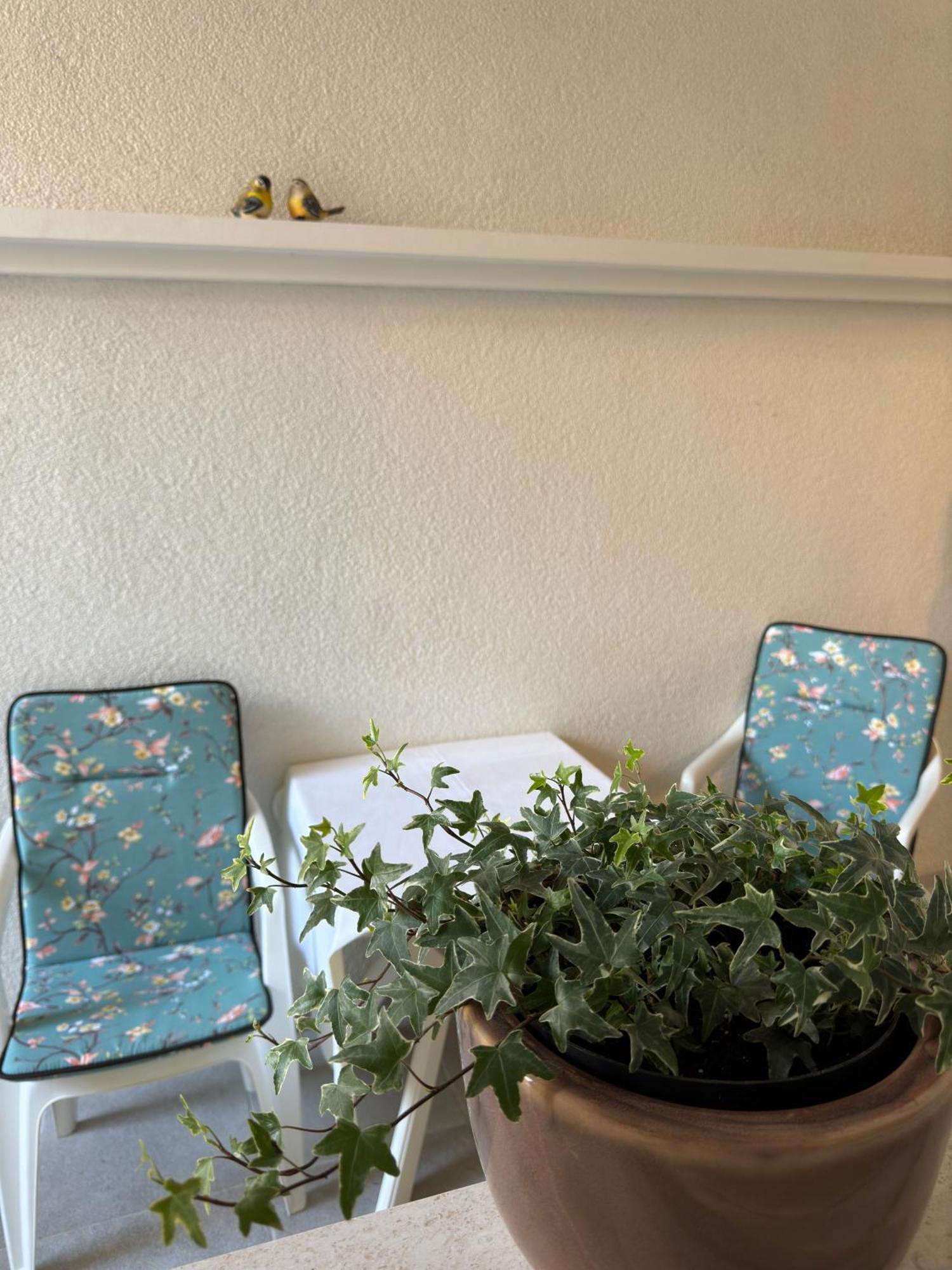 Apartment Bonbon 1 Biograd Na Moru