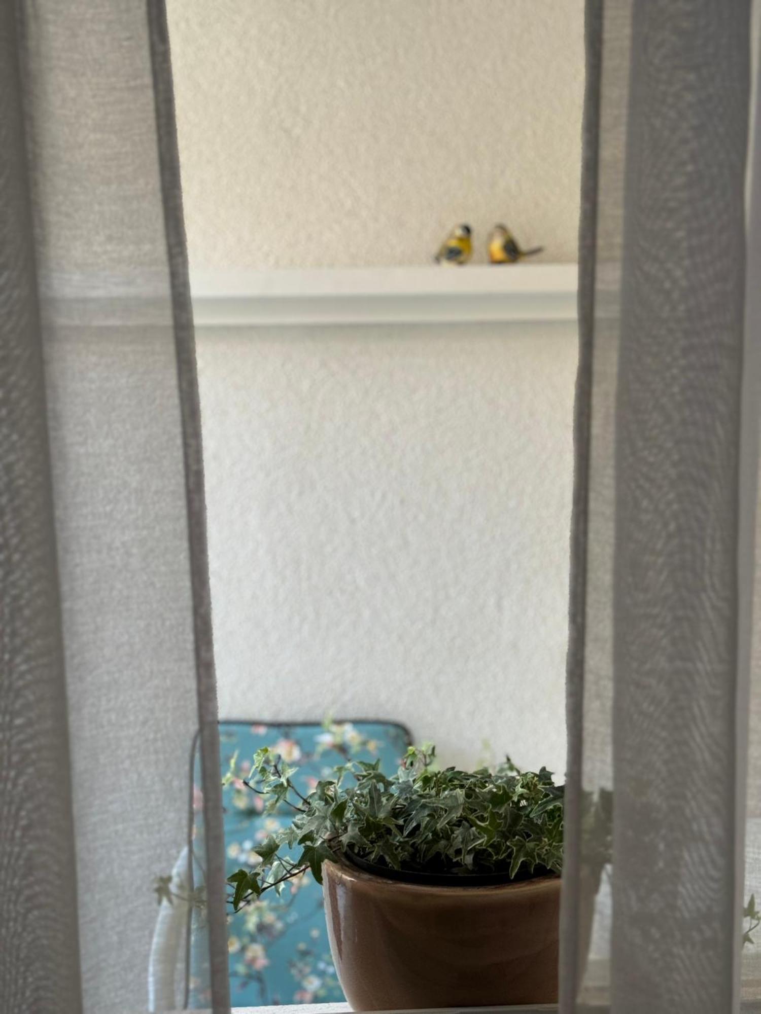 Apartment Bonbon 1 Biograd Na Moru