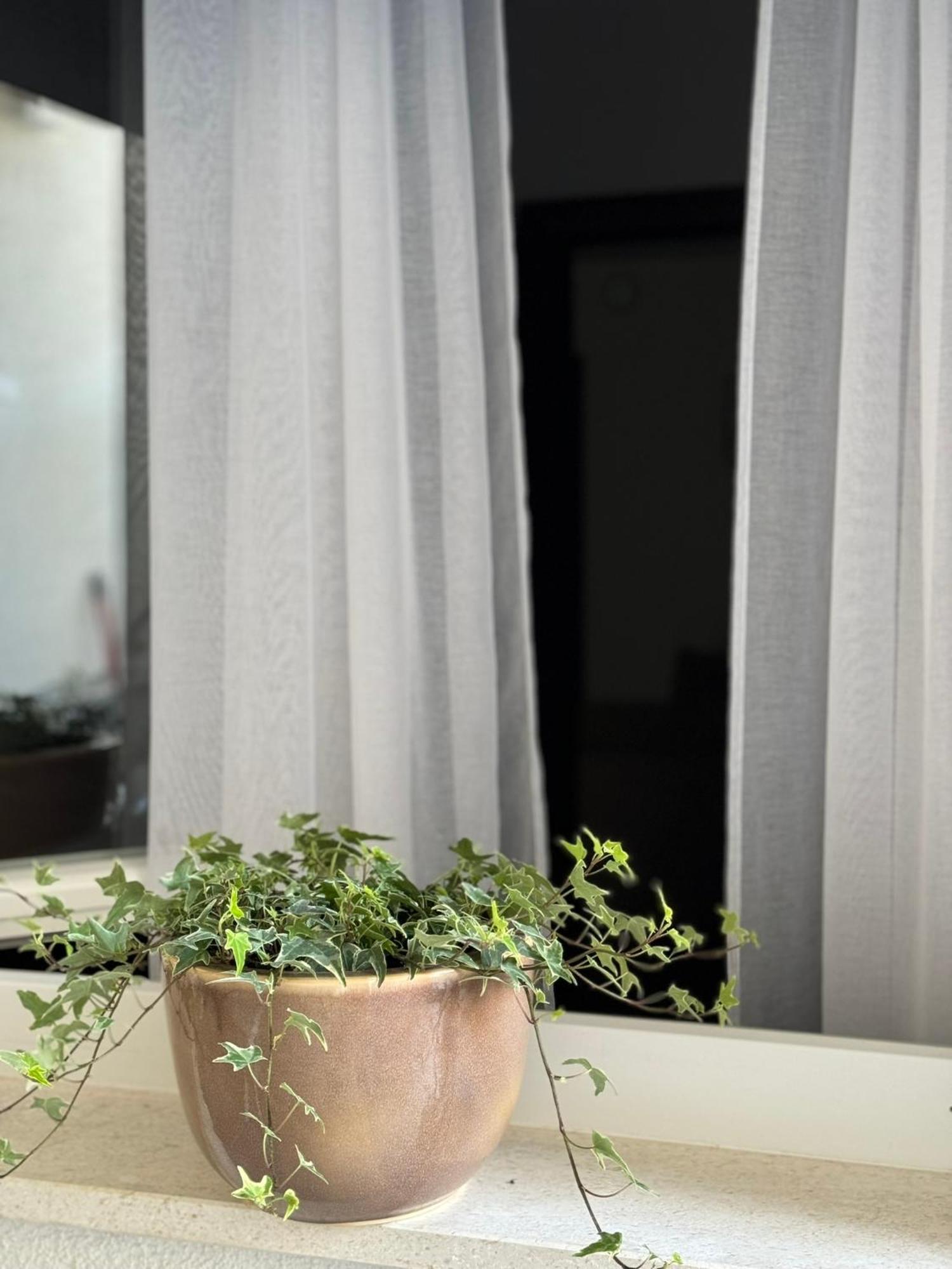 Apartment Bonbon 1 *